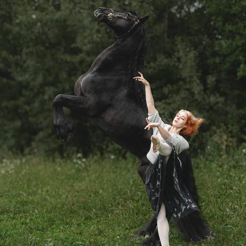 Photo #10463803