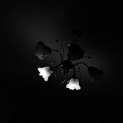 Photo #10464476