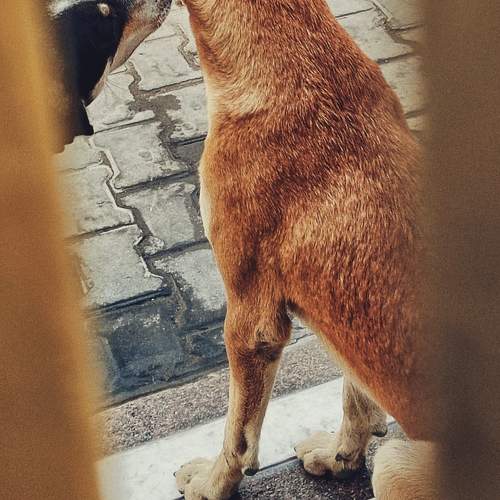 Photo #10464647