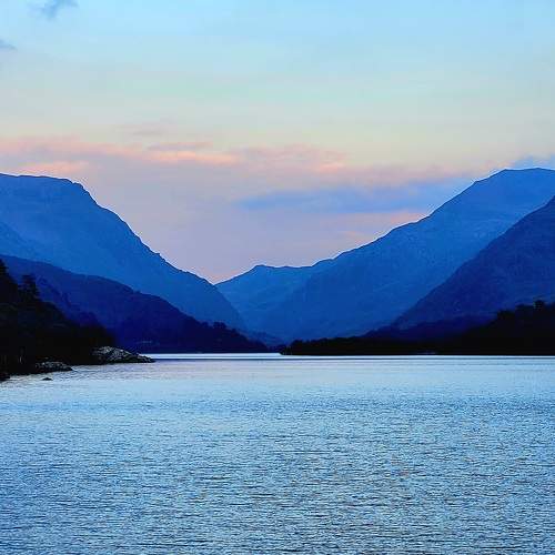 Photo #10465053