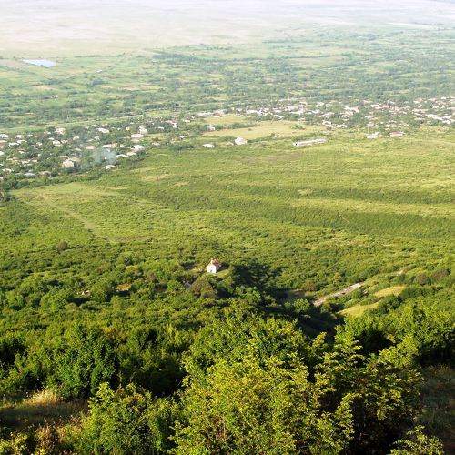 Photo #10465384
