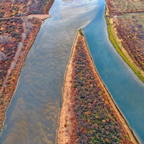 Фотография #10465416