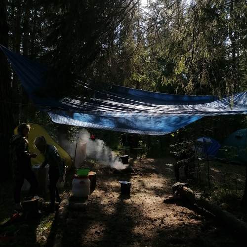 Photo #10465462