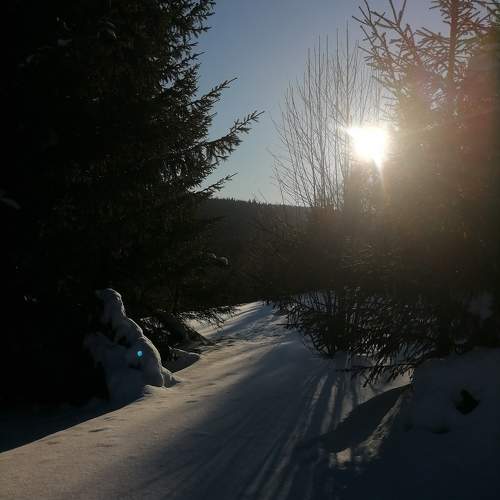 Photo #10465473