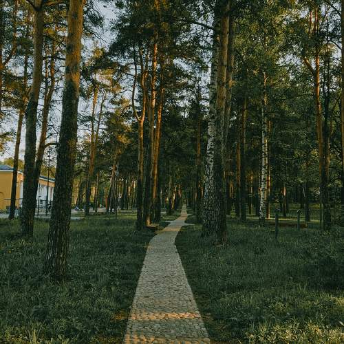 Photo #10465851