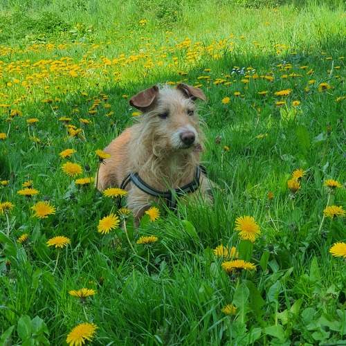 Photo #10465911