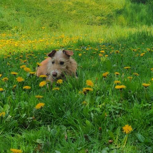 Photo #10465912