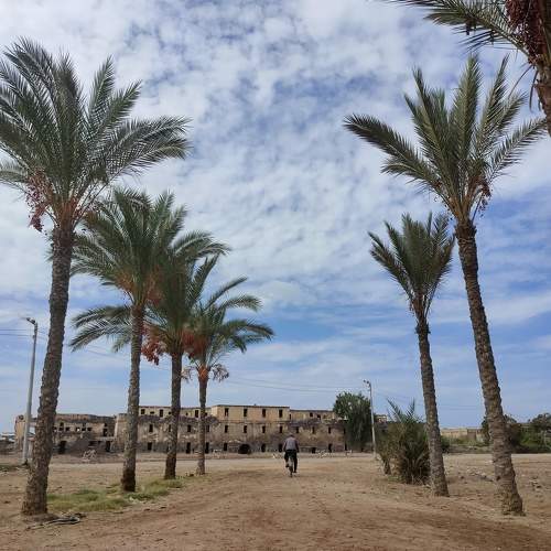 Photo #10466002