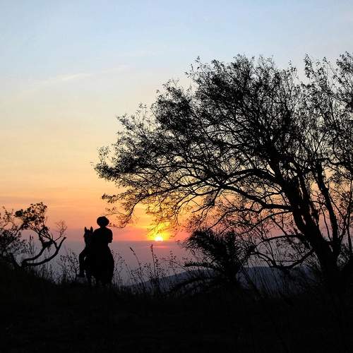 Photo #10466233