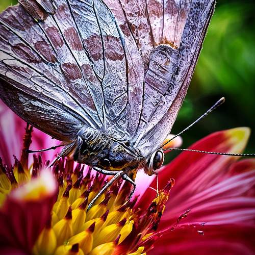 Mobile photography