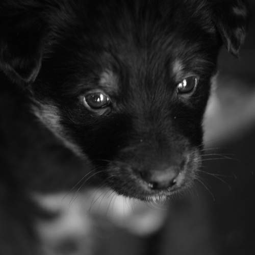 Photo #10466844