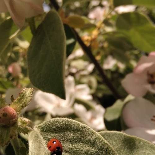 Photo #10467511