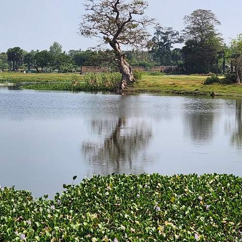 Photo #10467681