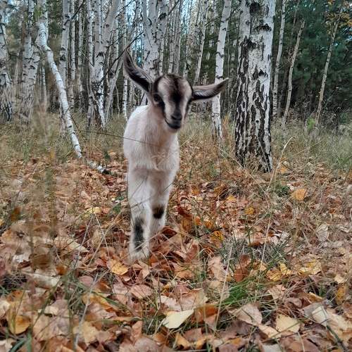 Photo #10467795