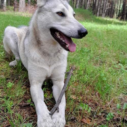 Photo #10467813