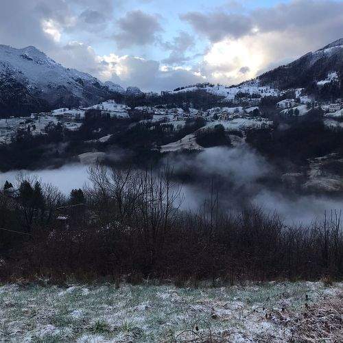 Photo #10467816