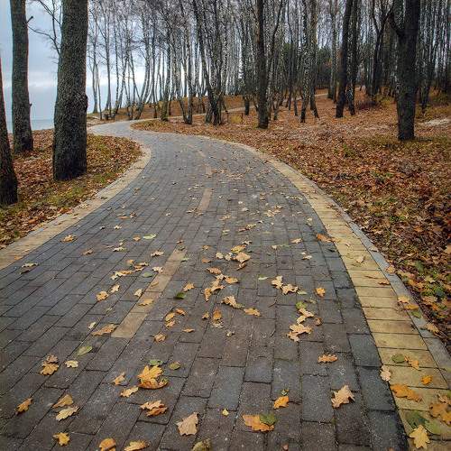 Photo #10468721
