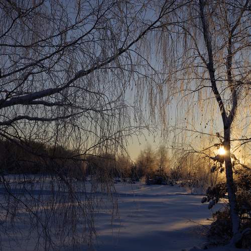 Photo #10468910