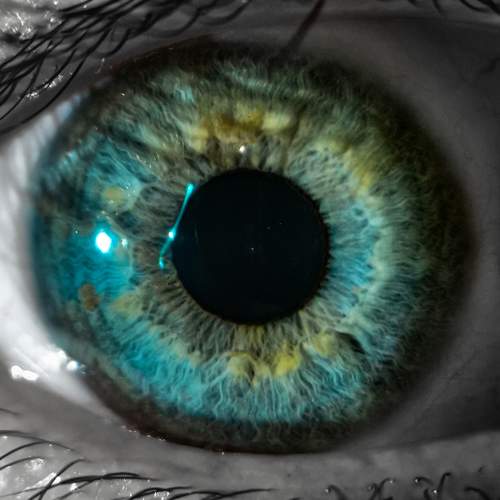 Photo #10468975
