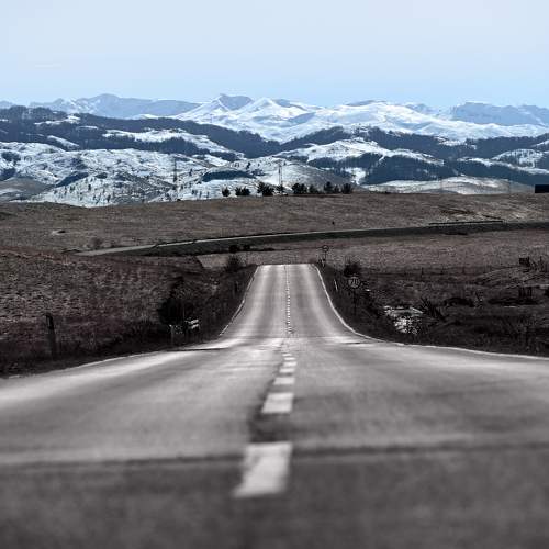 Photo #10469047