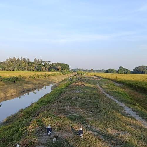 Photo #10469436