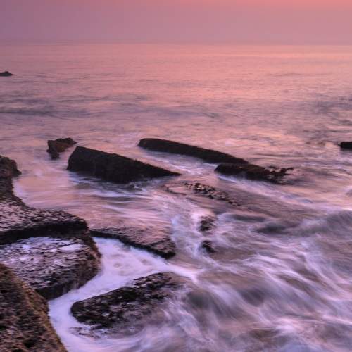 Photo #10469451