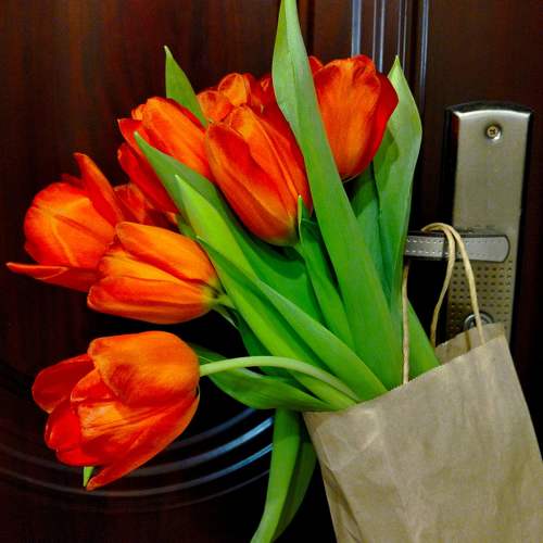 Photo #10469776