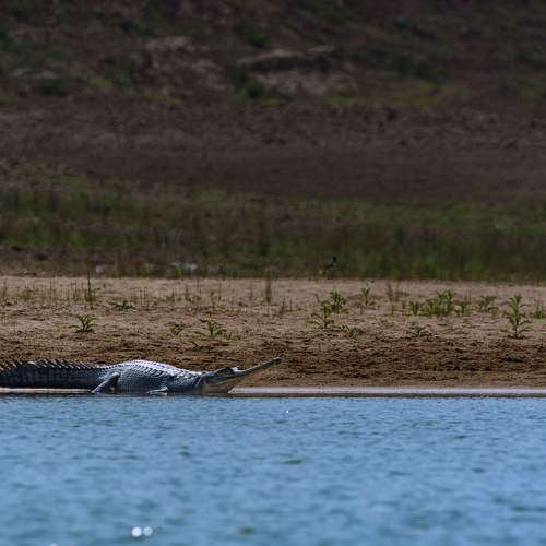 Photo #10470202