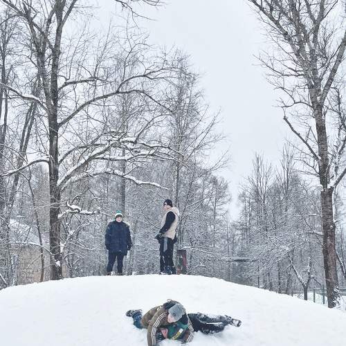 Photo #10470511