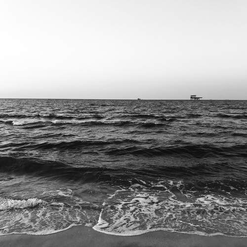 Photo #10470522