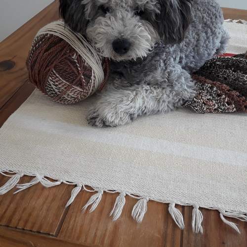 Photo #10470646