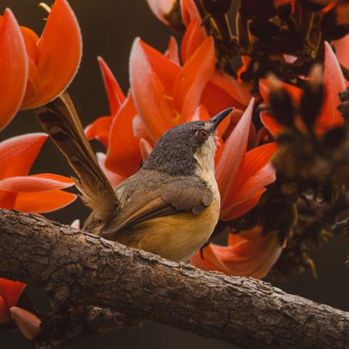 Photo #10470925