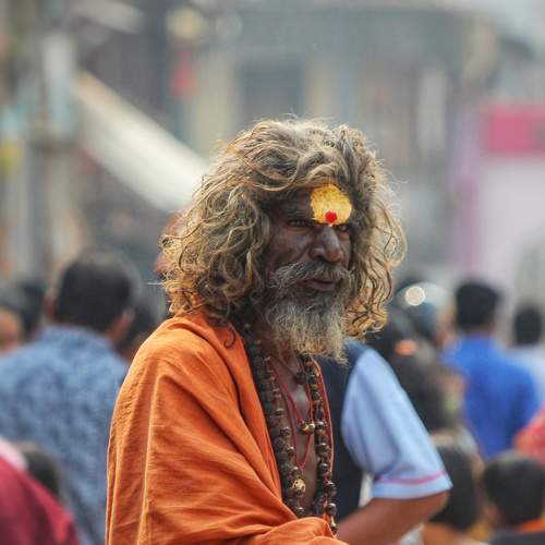 Photo #10471068