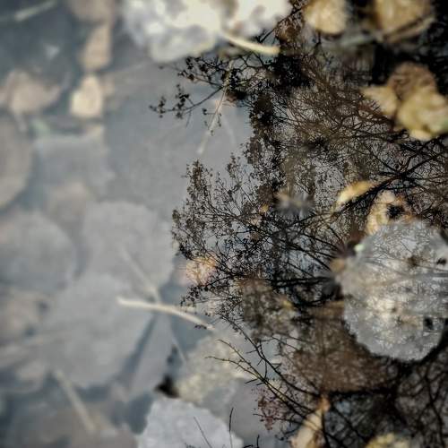 Photo #10471383