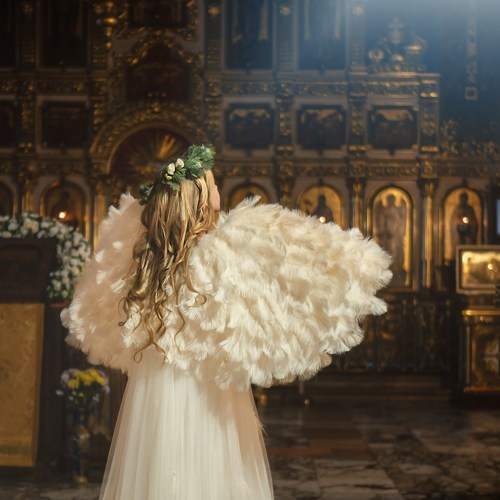 Photo #10471522