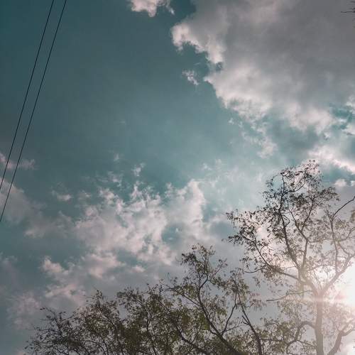 Photo #10471752