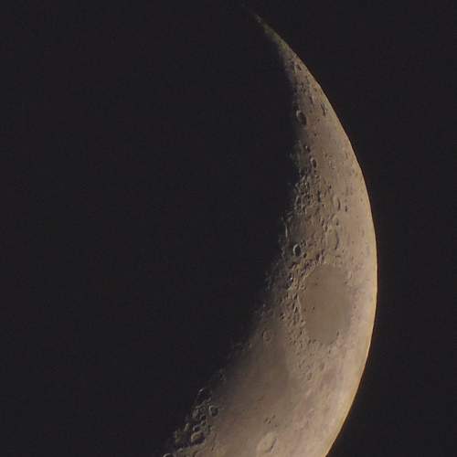 Photo #10471762