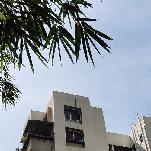 Photo #10471800