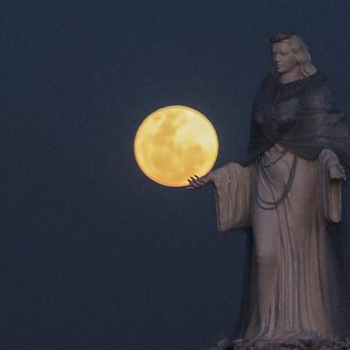 Photo #10471840