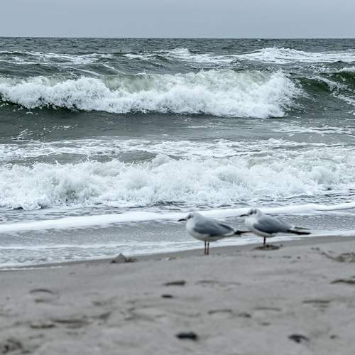 Photo #10471932