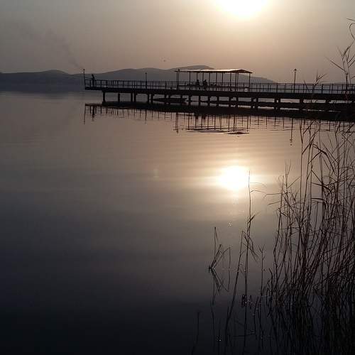 Photo #10472049