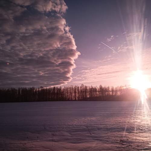 Photo #10472079