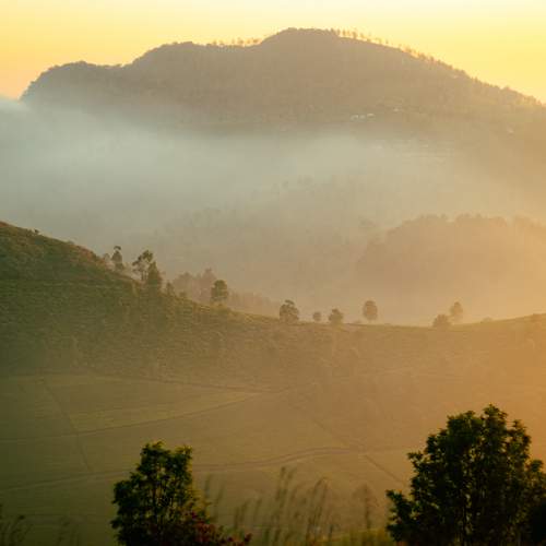Photo #10472082