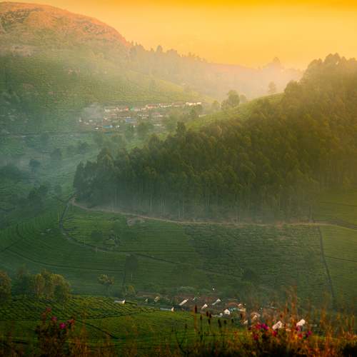 Photo #10472084