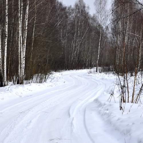 Photo #10472455