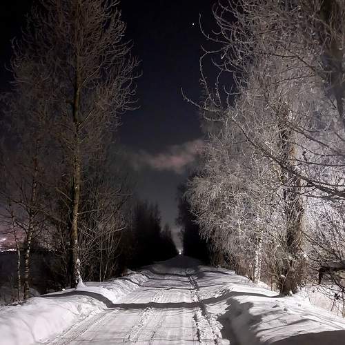 Photo #10472480