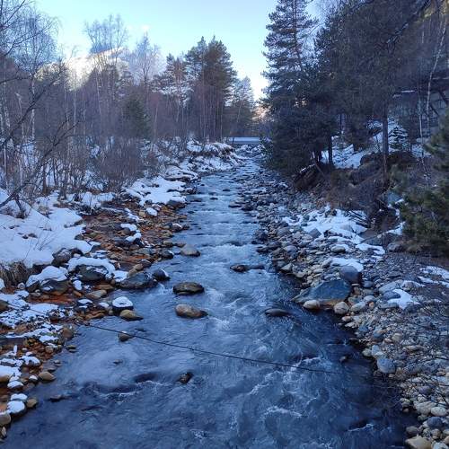Photo #10472710