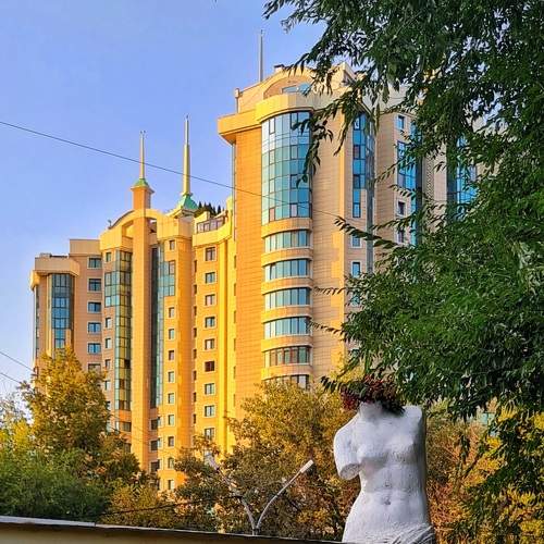 Photo #10472865