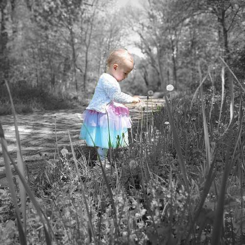 Photo #10473169