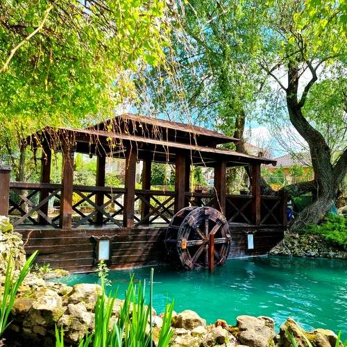 Photo #10473285
